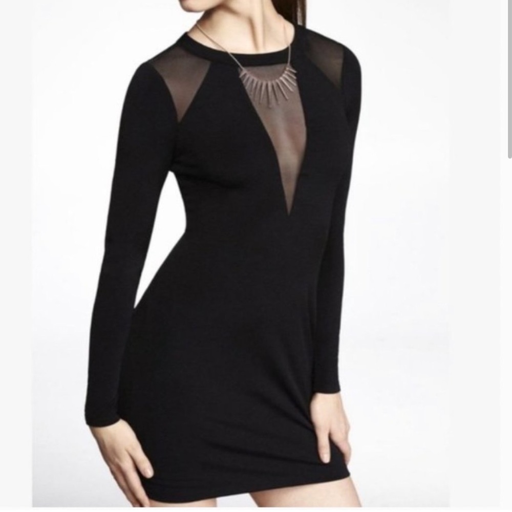 Express Deep V- Mesh Long Sleeve Dress
